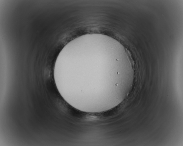 X0000083040706200703022049