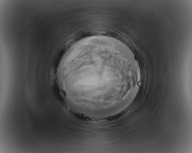 X0000083040707200703022049
