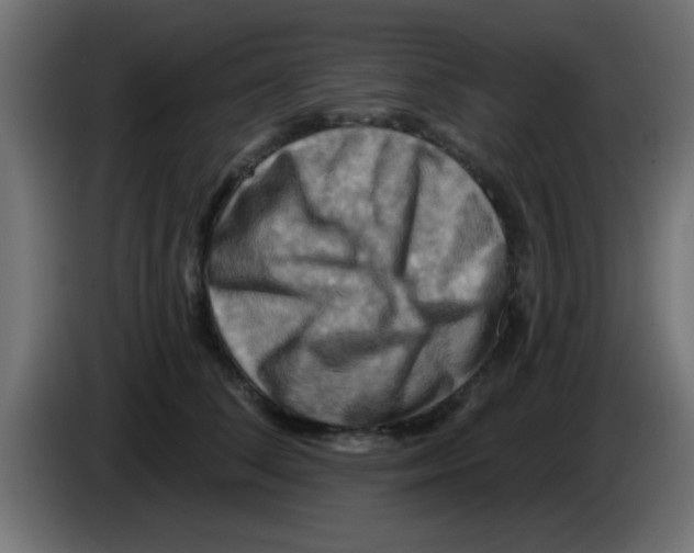 X0000083040708200703022049