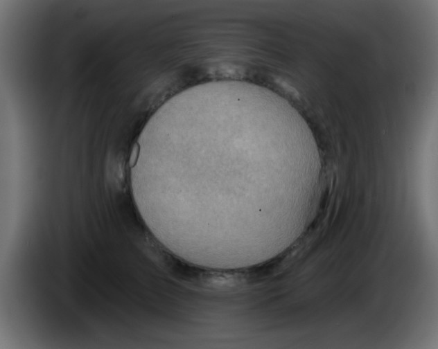 X0000083040709200703022049