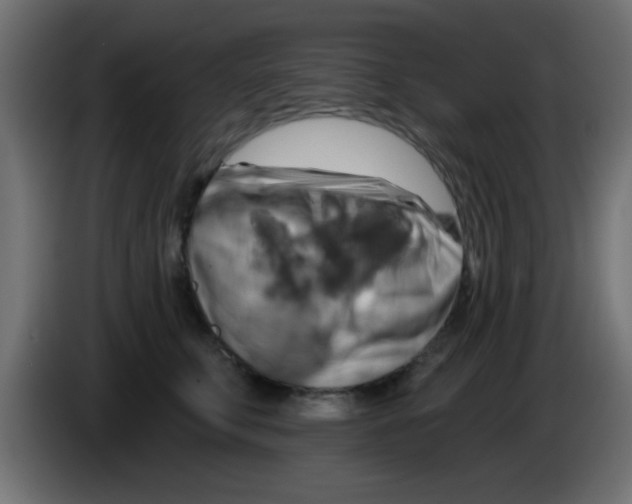 X0000083040711200703022049