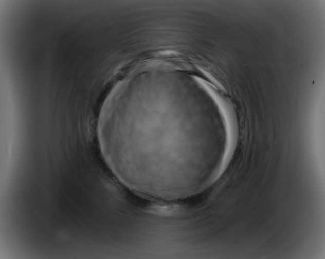 X0000083040712200703022049