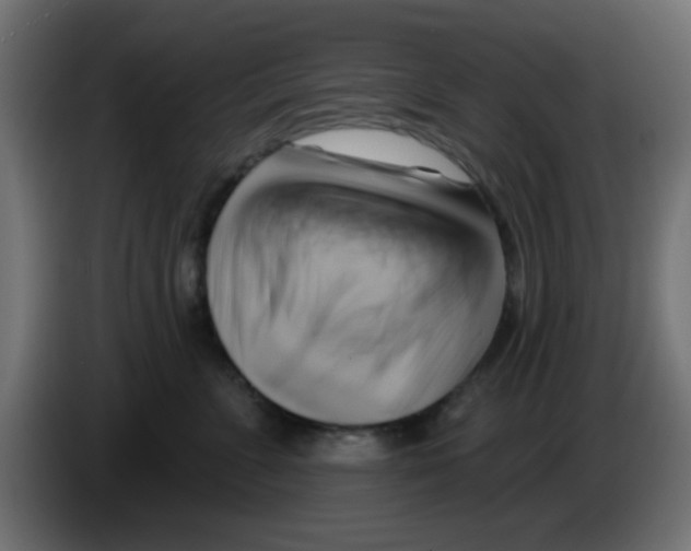 X0000083040715200703022049