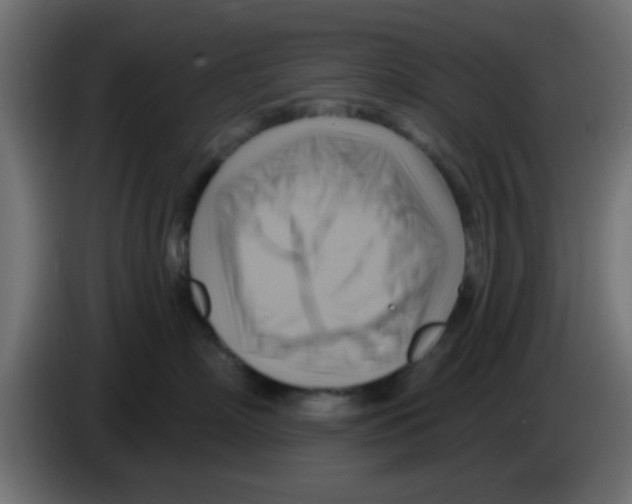 X0000083040718200703022048