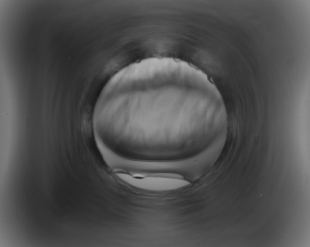 X0000083040719200703022048