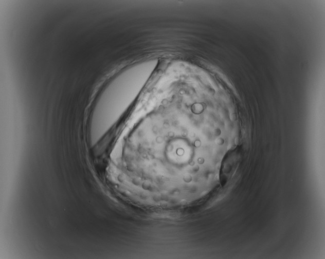 X0000083040721200703022048