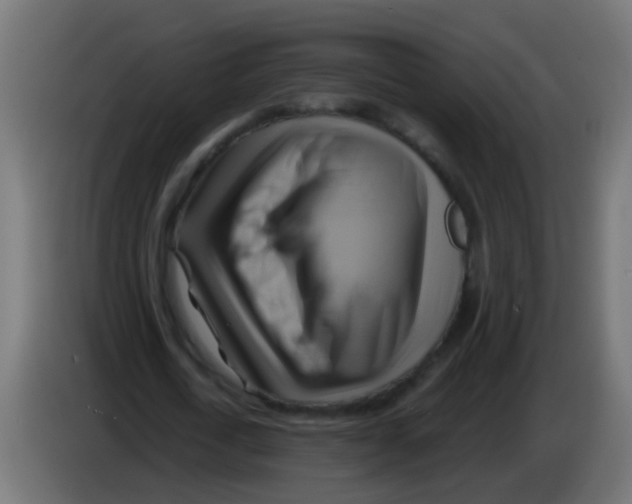 X0000083040722200703022048