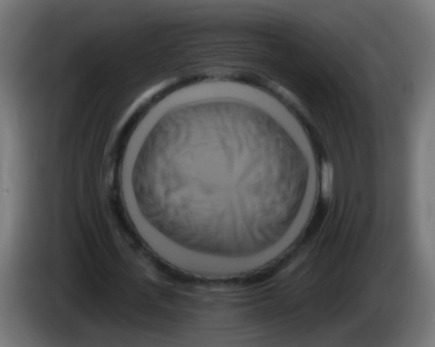 X0000083040723200703022048