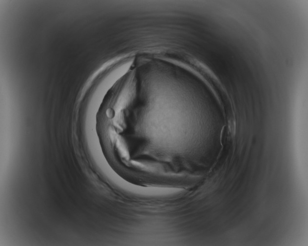 X0000083040724200703022048