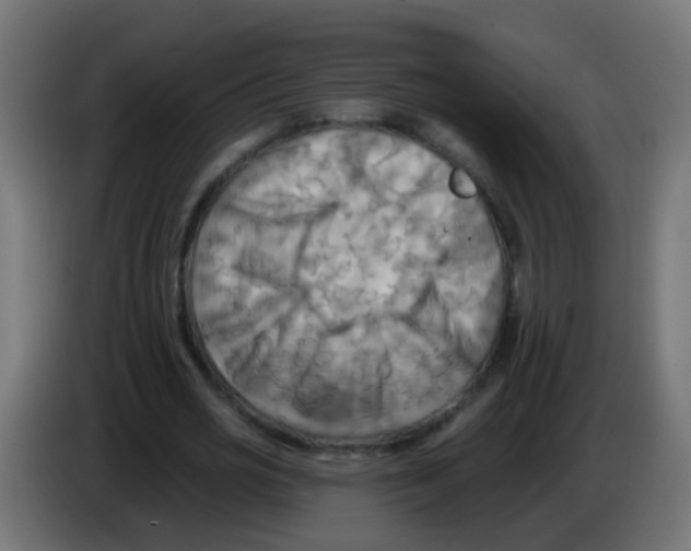 X0000083040725200703022048