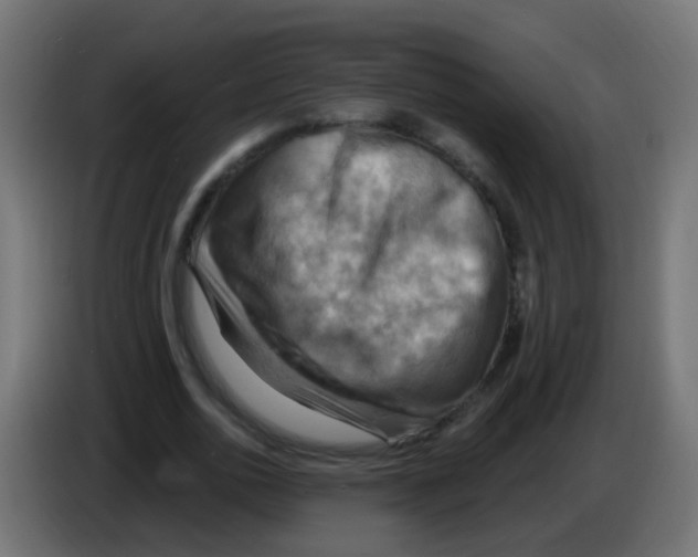 X0000083040726200703022048