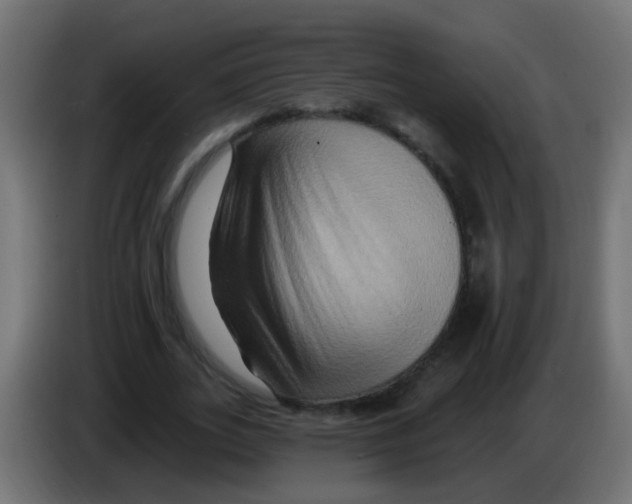 X0000083040727200703022048