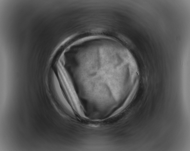 X0000083040728200703022048