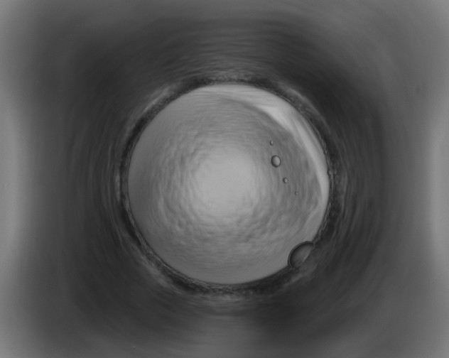 X0000083040729200703022048