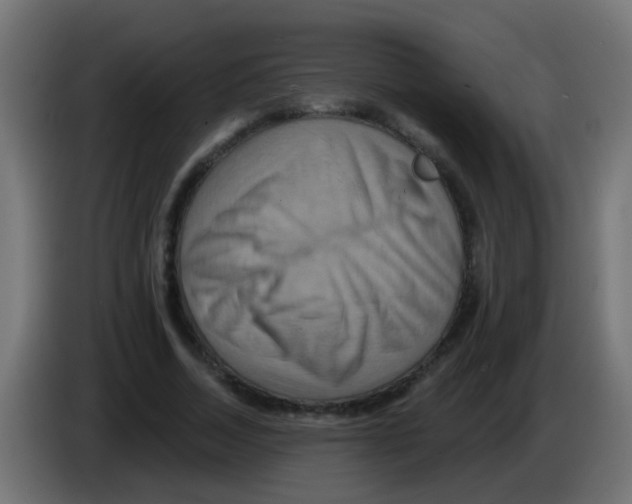 X0000083040730200703022048