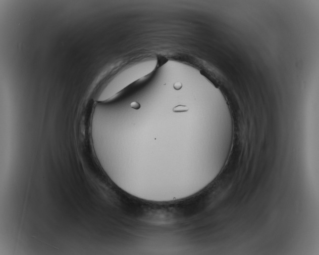 X0000083040731200703022048