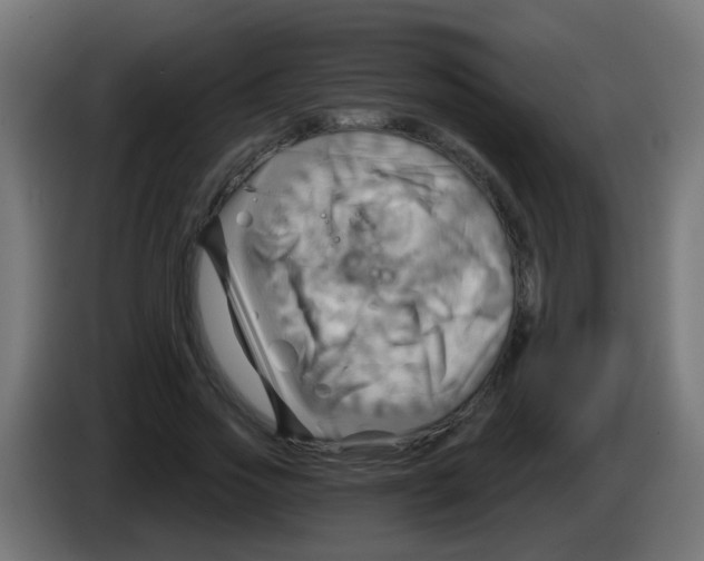 X0000083040733200703022048
