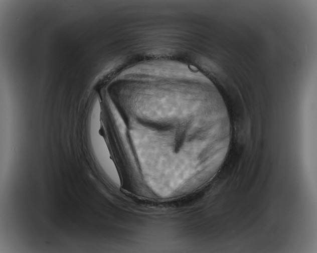 X0000083040735200703022048