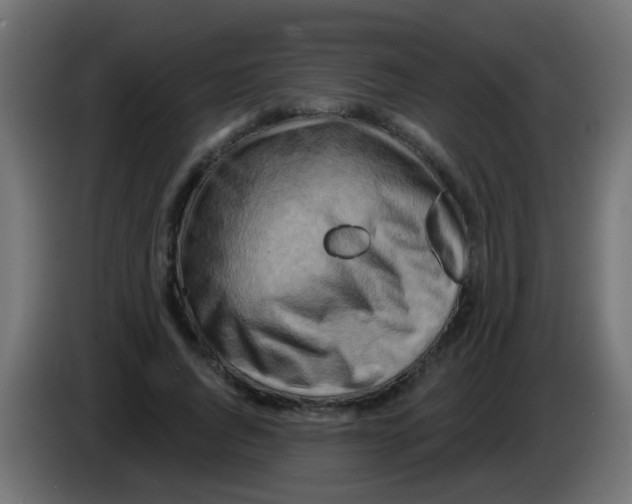 X0000083040736200703022048