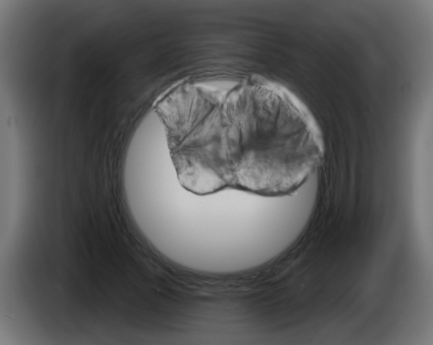 X0000083040737200703022048