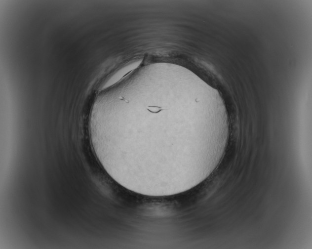 X0000083040738200703022048