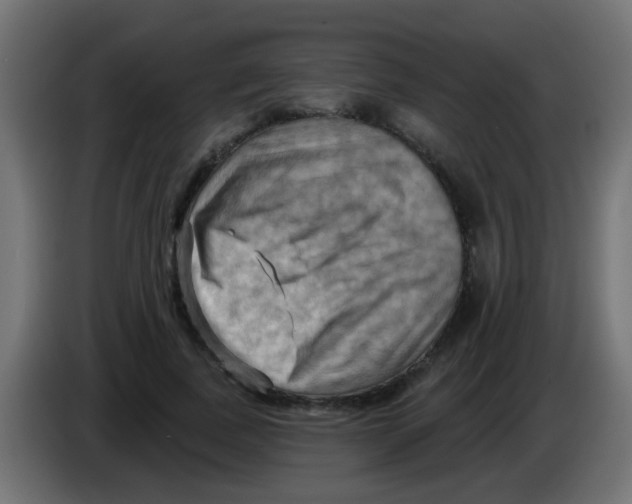 X0000083040739200703022048