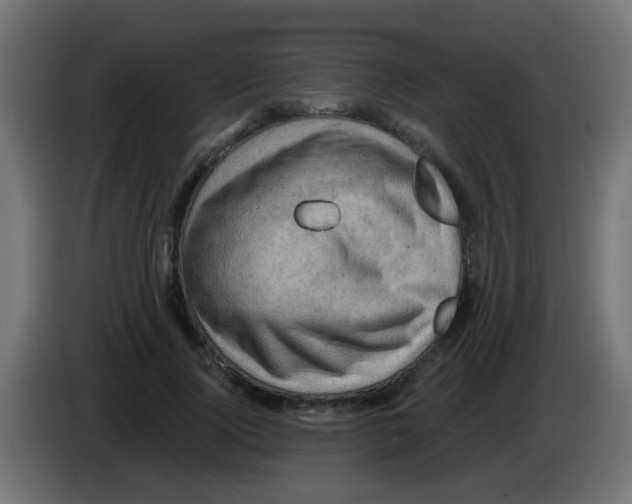 X0000083040740200703022048