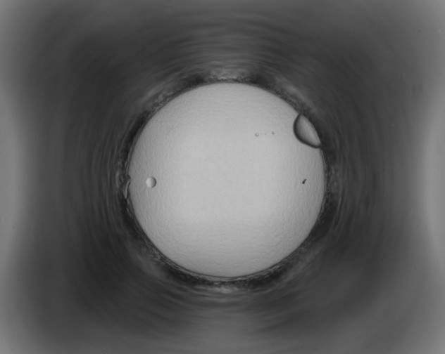 X0000083040741200703022048