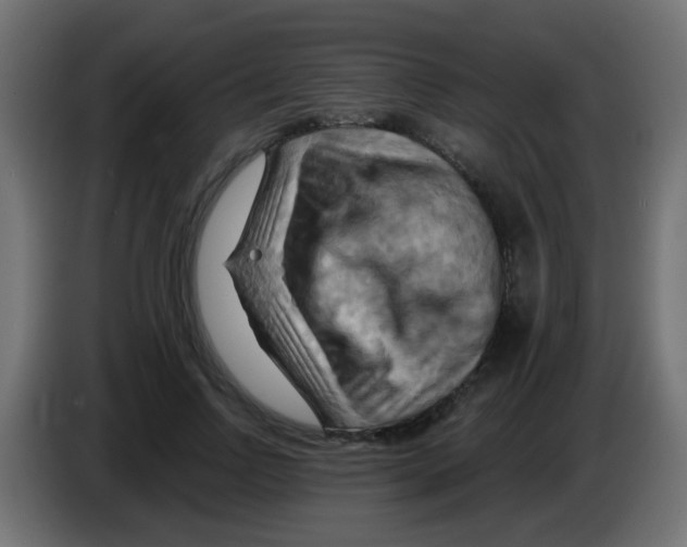 X0000083040742200703022048