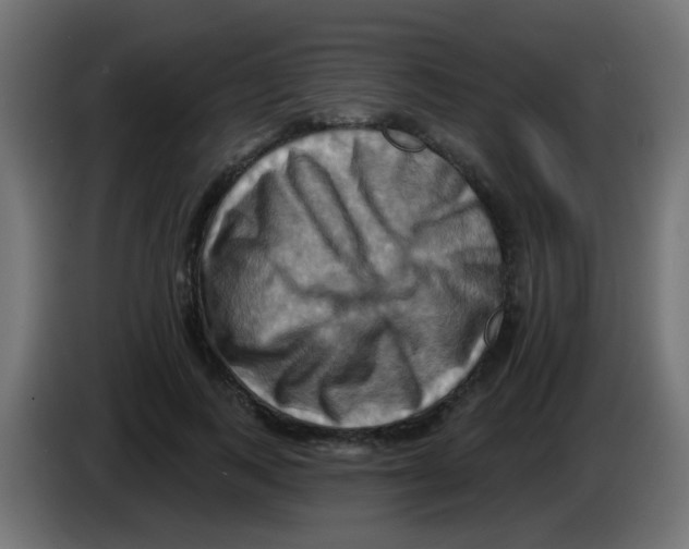 X0000083040743200703022048