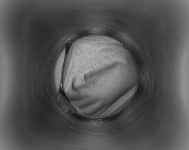X0000083040744200703022048