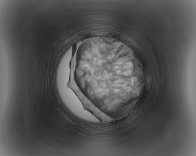 X0000083040745200703022048