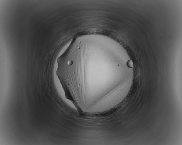 X0000083040746200703022048