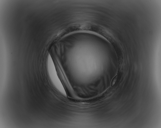 X0000083040748200703022048