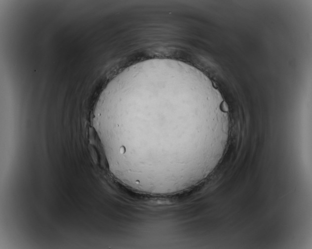 X0000083040749200703022048