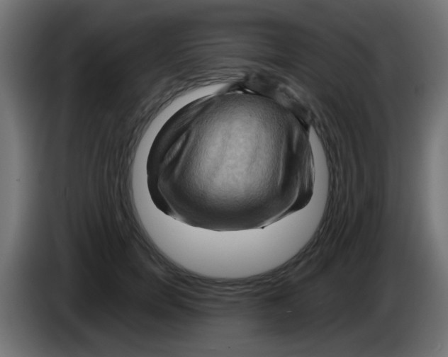 X0000083040750200703022048