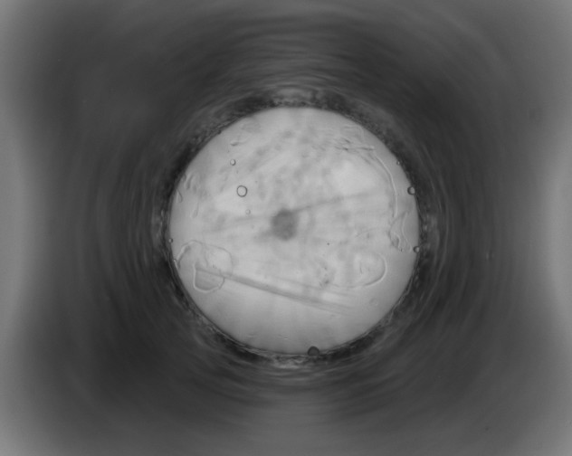 X0000083040753200703022048