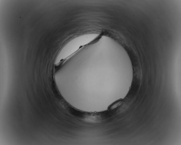 X0000083040754200703022048