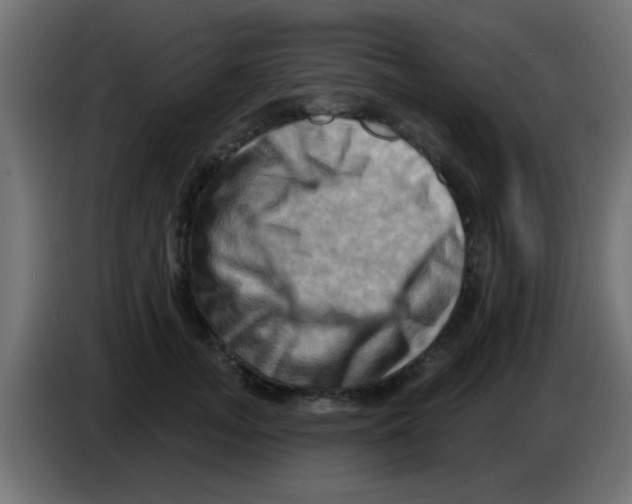 X0000083040755200703022048