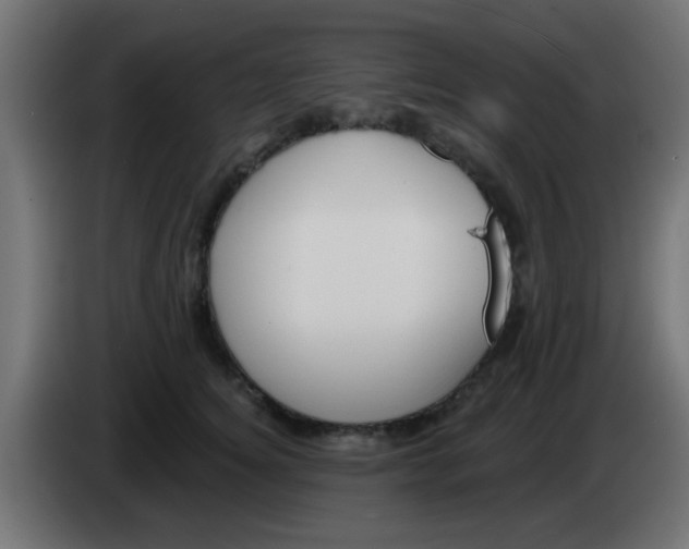 X0000083040756200703022048