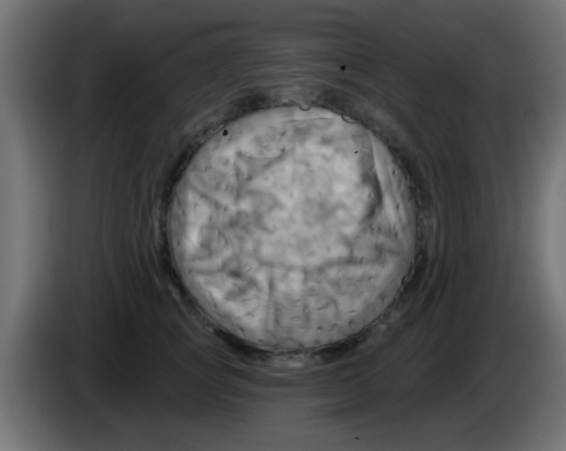 X0000083040757200703022048