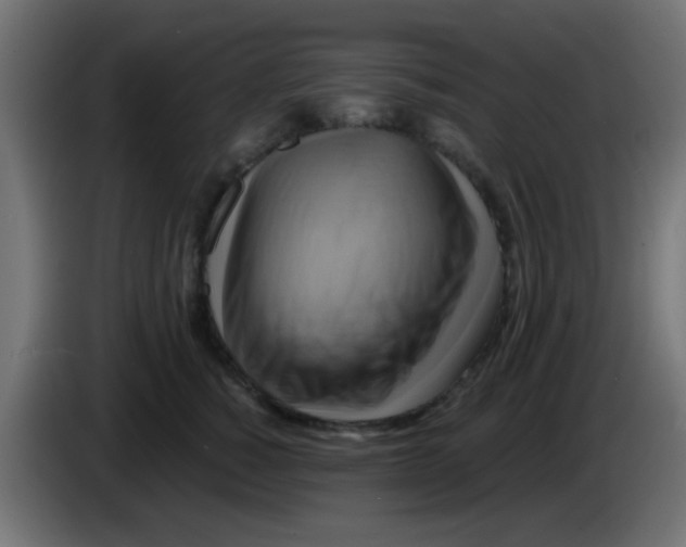 X0000083040760200703022048