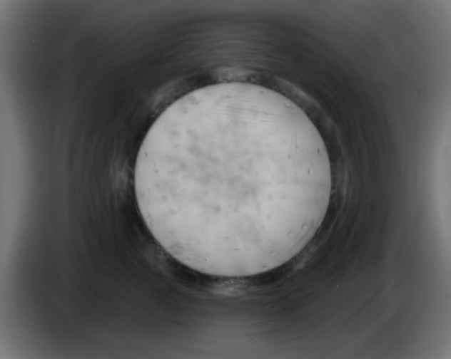 X0000083040761200703022048