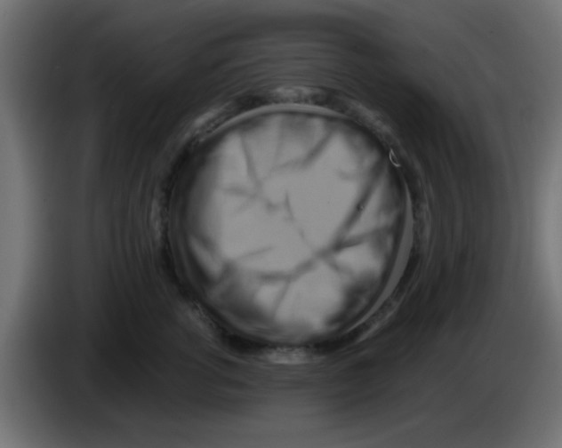 X0000083040762200703022048