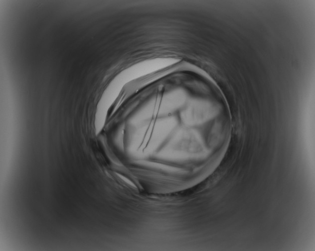 X0000083040763200703022048