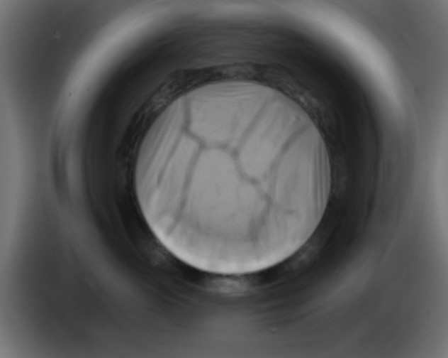 X0000083040765200703022048
