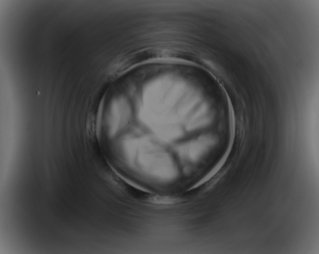 X0000083040766200703022048