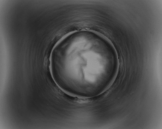 X0000083040767200703022048