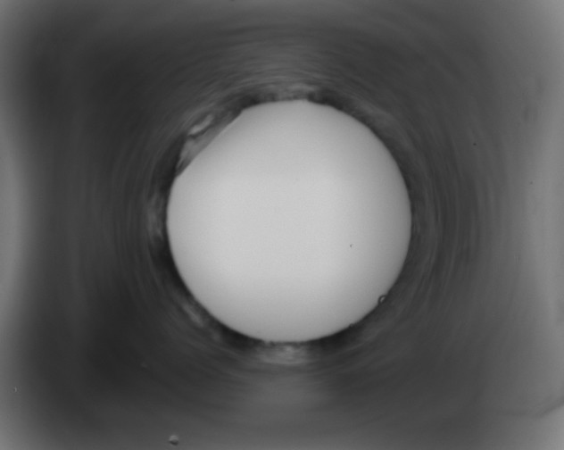 X0000083040768200703022048