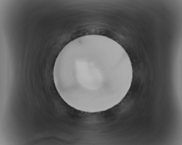 X0000083040769200703022048